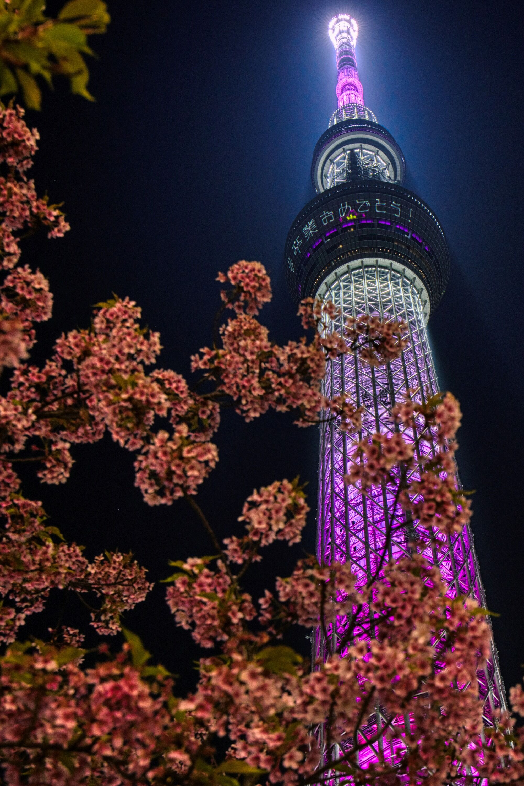 東武橋から撮影した夜桜と東京スカイツリー夜景 舞 と 卒業おめでとう のメッセージ 22年3月24日 東京スカイツリー定点観測所