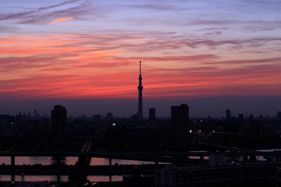 東京スカイツリー夕景