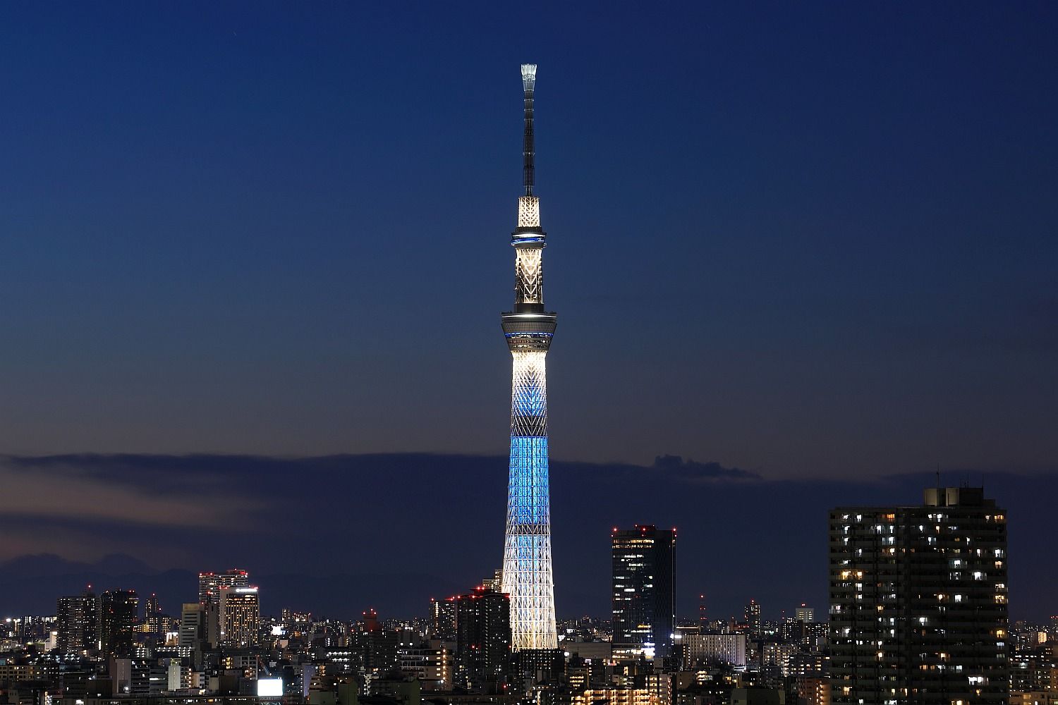 東京スカイツリーコレクション 粋 Www Telmax Com Tr