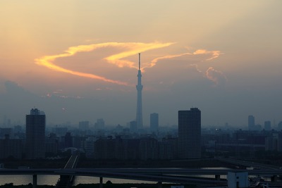 東京スカイツリー夕景