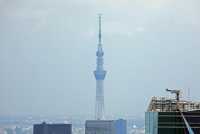 六本木ヒルズから見た東京スカイツリー