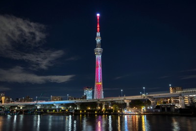 クリスマス特別ライティング「サンタクロース」