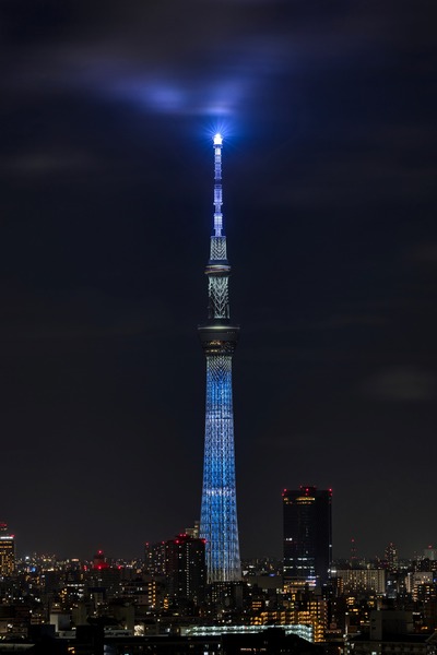 すみっコぐらし「のナイトパークver.のしろくま」をイメージした特別ライティング