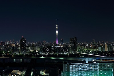東京スカイツリー夜景「雅」