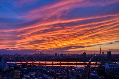 東京スカイツリー夕景