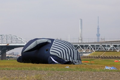 くじらと東京スカイツリー
