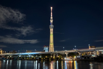 クリスマス特別ライティング「エレガントツリー」