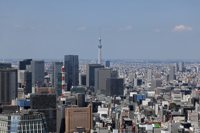 東京タワーから見た東京スカイツリー
