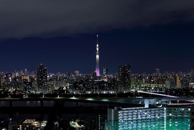 東京スカイツリー夜景「雅」