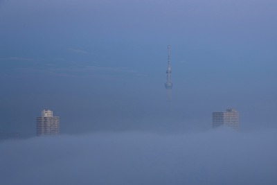 雲海と東京スカイツリー