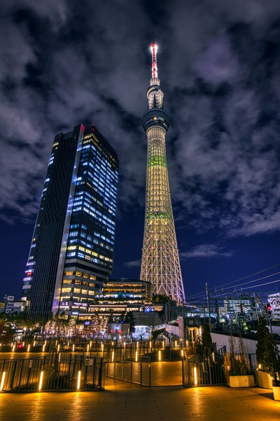 クリスマス特別ライティング「エレガントツリー」