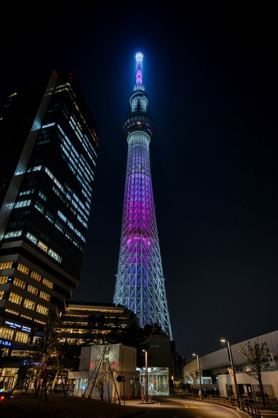 東京スカイツリー夜景「舞」