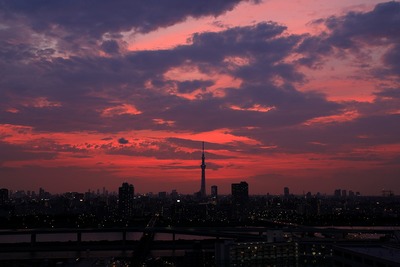 東京スカイツリー方面の夕景