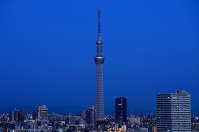 夜明けの東京スカイツリー