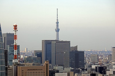 東京タワーから見た東京スカイツリー