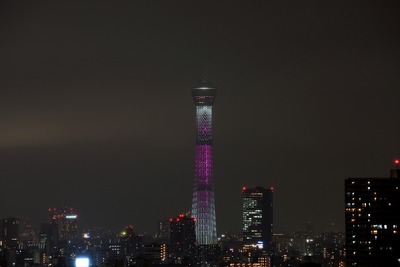 ピンク色の東京スカイツリー