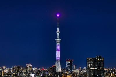 『魔法少女まどか☆マギカ』コラボの特別ライティング「暁美ほむら」