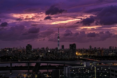 東京スカイツリー方面の夕景