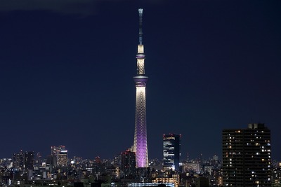 東京スカイツリー夜景「雅」