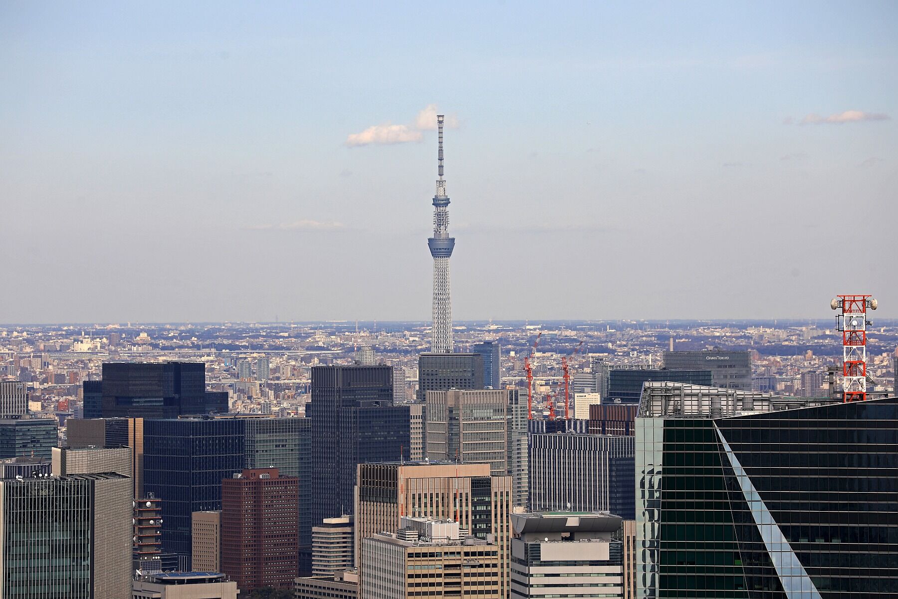 六本木ヒルズから見た東京スカイツリー 年2月28日 東京スカイツリー定点観測所