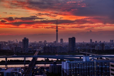 東京スカイツリー夕景