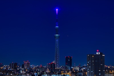 アメシスト パープル