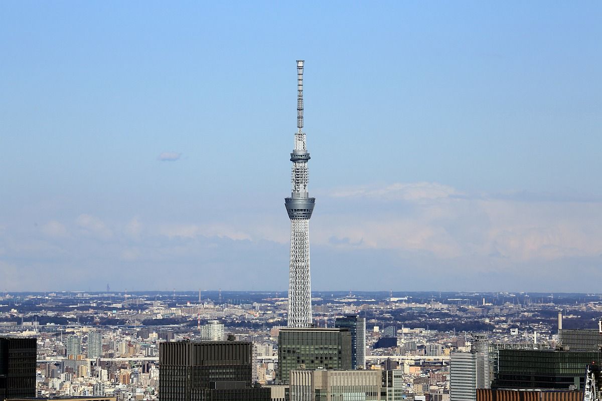 六本木ヒルズから見た東京スカイツリーと牛久大仏 16年1月24日 東京スカイツリー定点観測所