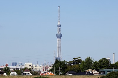 江戸川河川敷から見た東京スカイツリー