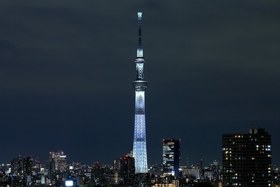東京スカイツリー夜景「咲」