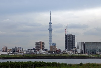 平井のタワマンと東京スカイツリー