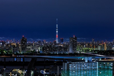 日本国旗をイメージした特別ライティング