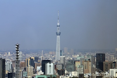 オペラシティタワーから見た東京スカイツリー