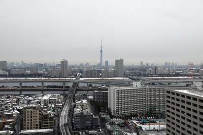 雪化粧した街と東京スカイツリー