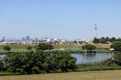 江戸川河川敷から見た東京スカイツリー