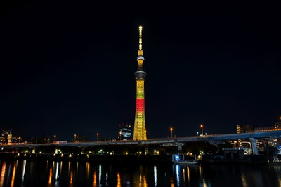 ディズニー創立100周年 プーさん