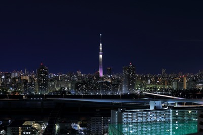 東京スカイツリー夜景「雅」