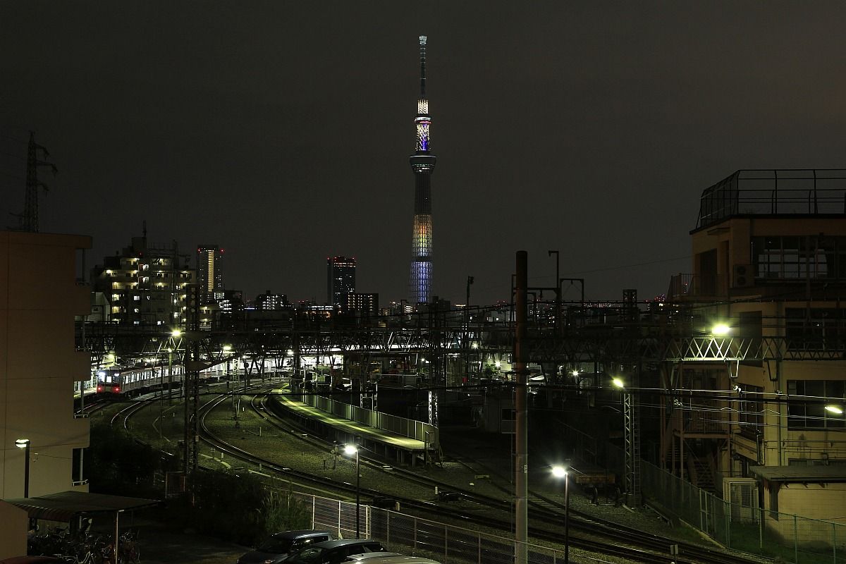 鐘ヶ淵から撮影した和食の日ライティングの東京スカイツリー 東京スカイツリー定点観測所 鐘ヶ淵から撮影した和食の日ライティングの東京スカイツリー 東京スカイツリー定点観測所