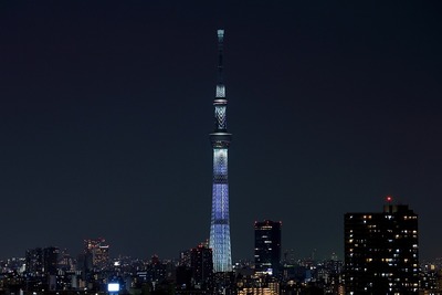 東京スカイツリー夜景「咲」