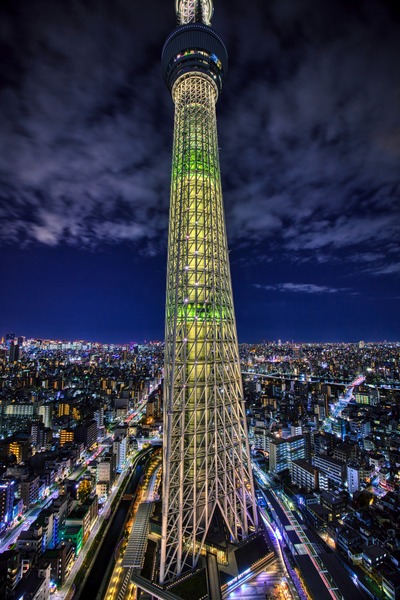 クリスマス特別ライティング「エレガントツリー」