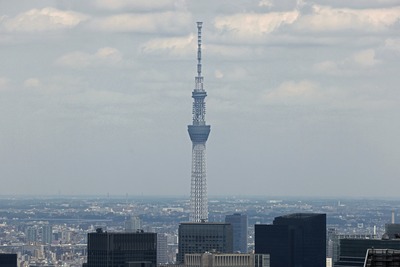 六本木ヒルズから見た東京スカイツリー