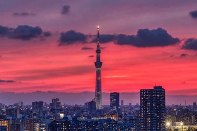 東京スカイツリー夕景