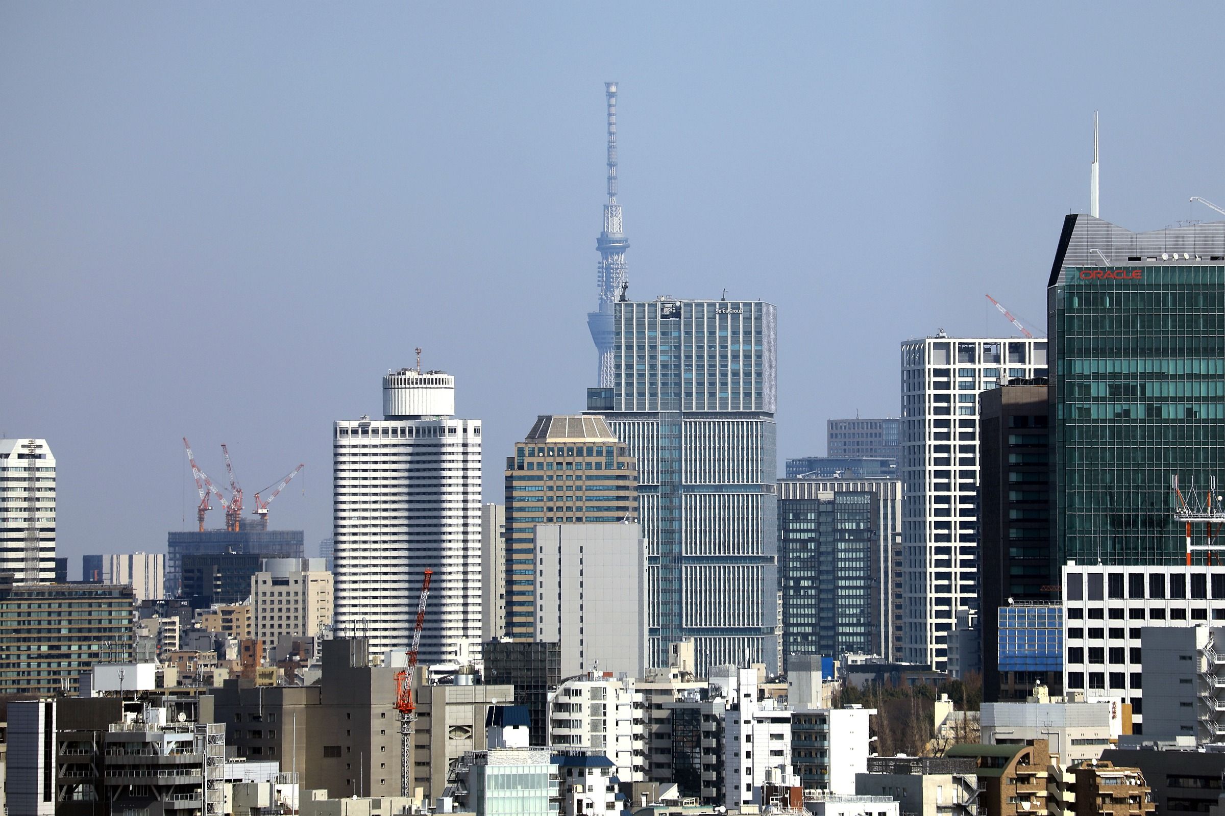 渋谷区役所から見た東京スカイツリー 19年3月2日 東京スカイツリー定点観測所