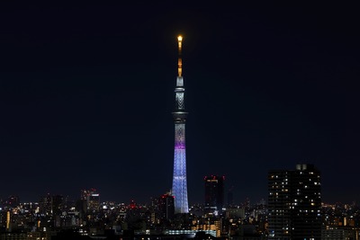 ラッコをイメージしたライティング