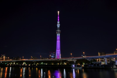 ディズニー創立100周年 ウィッシュ