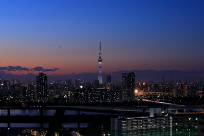 東京スカイツリー夕景
