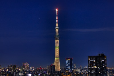 クリスマス特別ライティング「エレガントツリー」