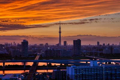 東京スカイツリー夕景