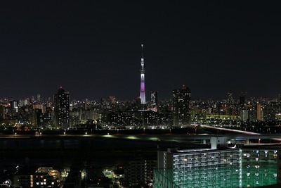 東京スカイツリー夜景「舞」