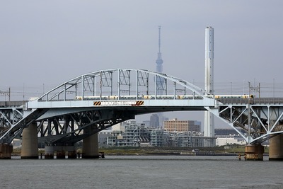 葛西臨海公園から見た東京スカイツリー