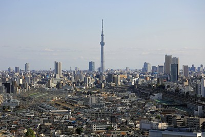 北とぴあから見た東京スカイツリー